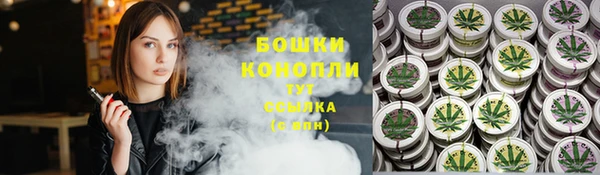 СК Бородино