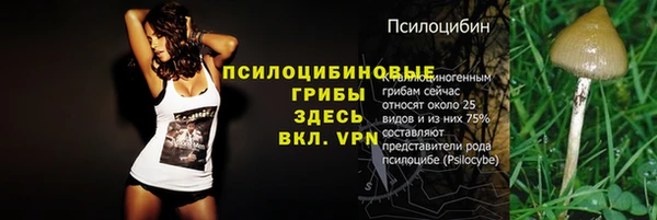 бошки Бронницы