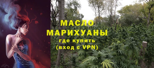бошки Бронницы
