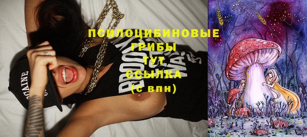а пвп мука Бугульма
