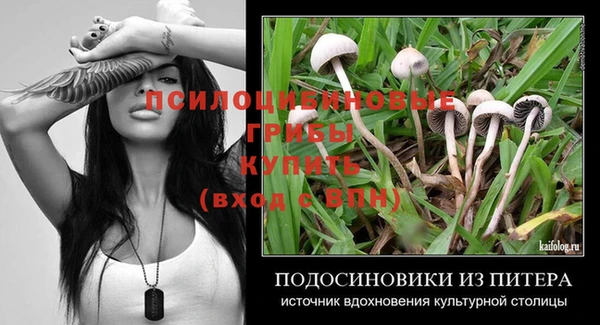 бошки Бронницы