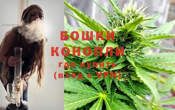 бошки Бронницы