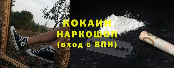 СК Бородино