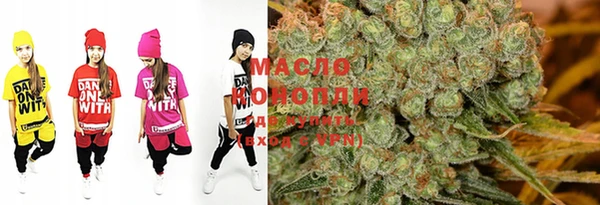 бошки Бронницы