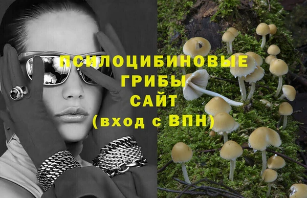 бошки Бронницы