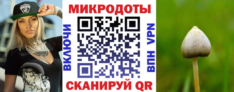 Купить  Верхняя Тура  Галлюциногенные грибы Cubensis 